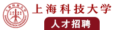 欧美肥妇逼逼视频